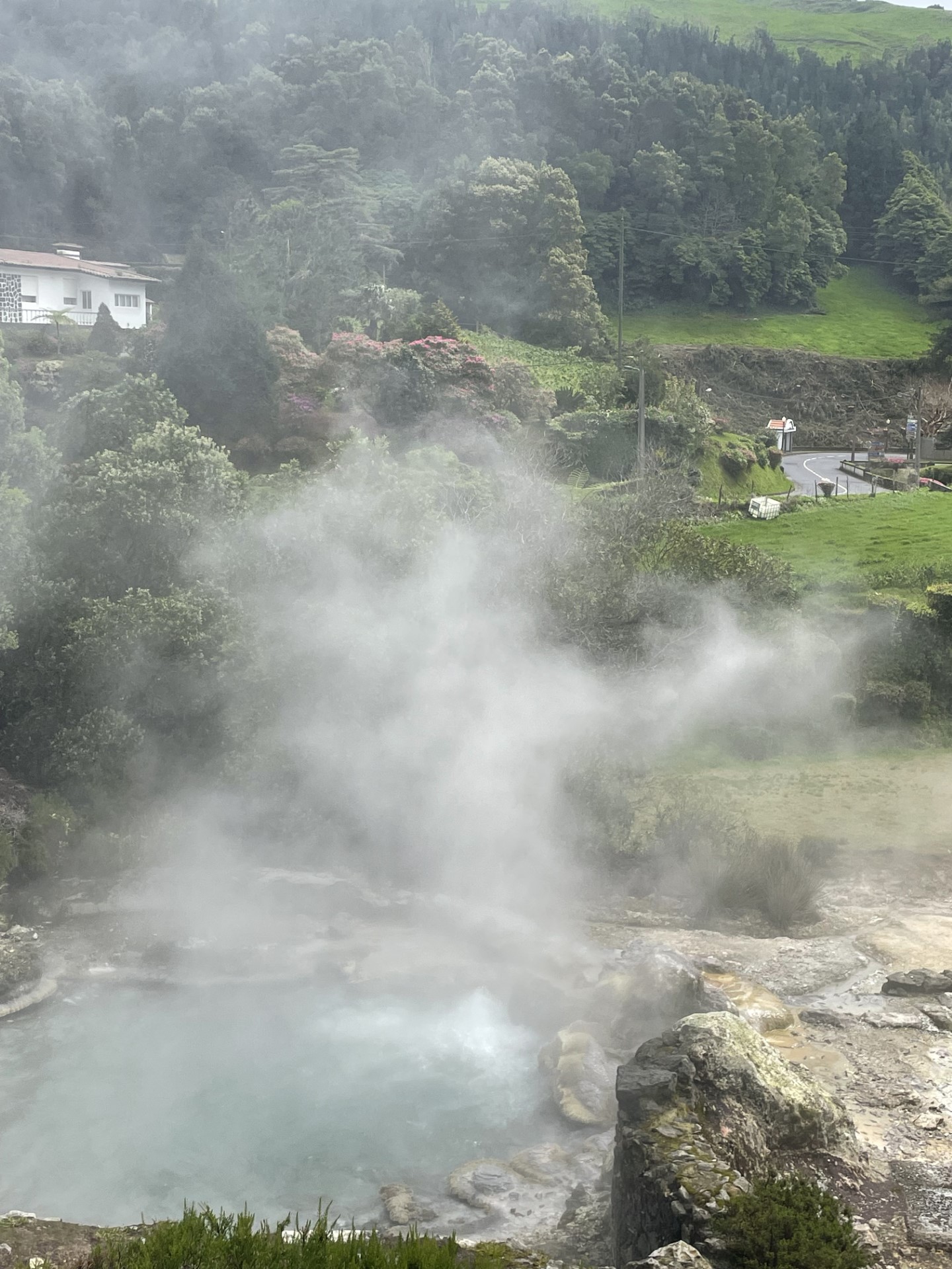 steaming fumaroles Sao Miguel