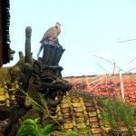 Statue With Bird In Bali