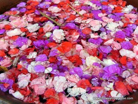 Flower petals in Ubud