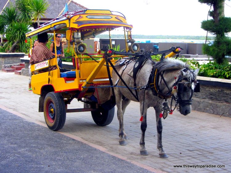 Horse Cart on Gili Trawangan