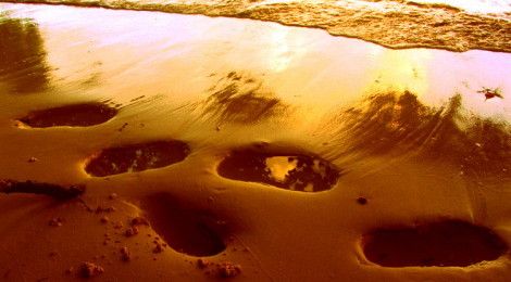 Footprints in the sand Raja Ampat