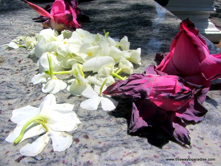 Flowers from Sri Lanka