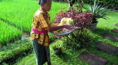 Bali Offerings