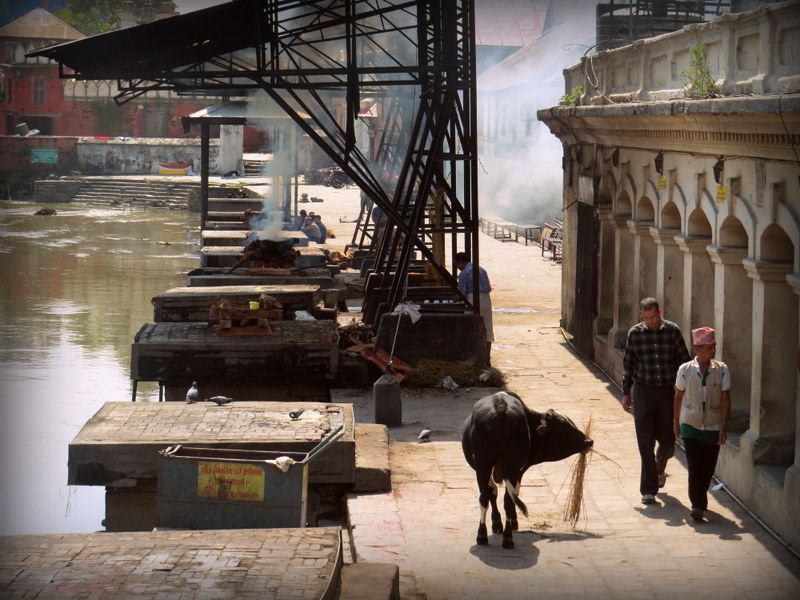 Pashupatinath Temple: The One Thing You Must Do In Kathmandu