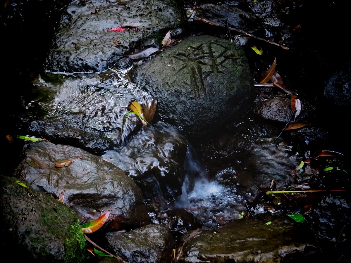 u Hikes: Why You Will Love Manoa Falls