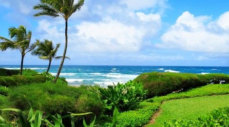 Where To Stay In Kauai: Hanalei Colony Resort