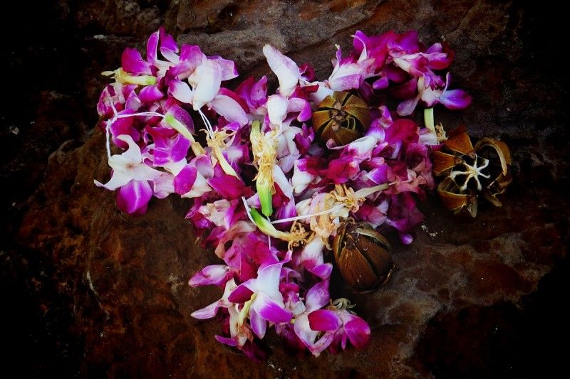 What Being Back In Hawaii Is Really Like-The Good And The Bad