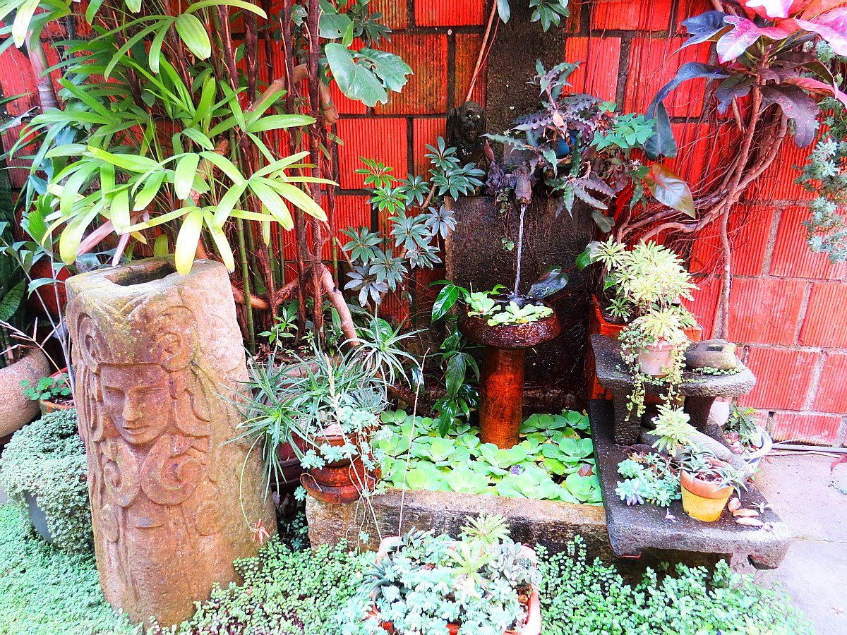 The San Jose Airbnb Haven You Will Want To Stay At In Costa Rica