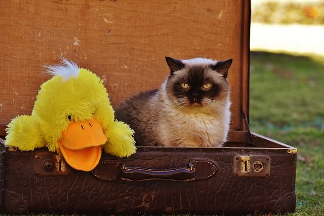 This Is Not Another Boring Packing List