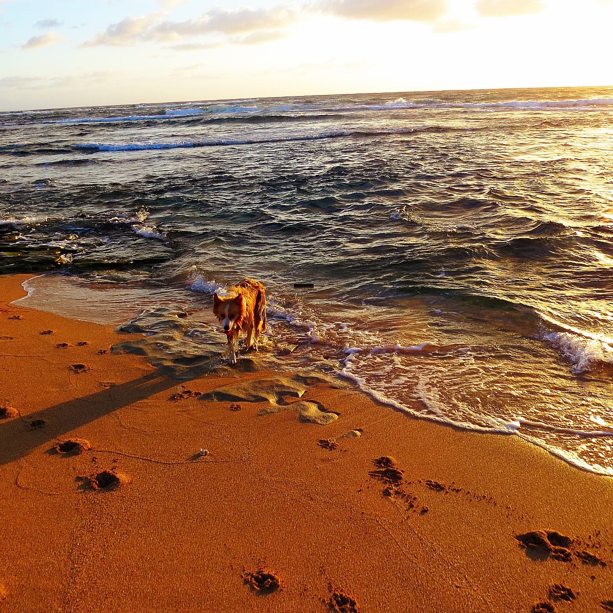 Why You Don't Want To Miss The Enchanting Kauai North Shore - This Way 