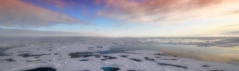 10 Things You Didn’t Know About the Arctic