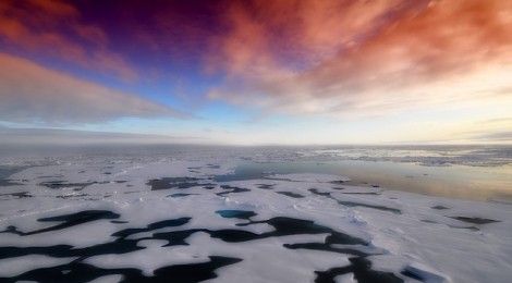 10 Things You Didn’t Know About the Arctic