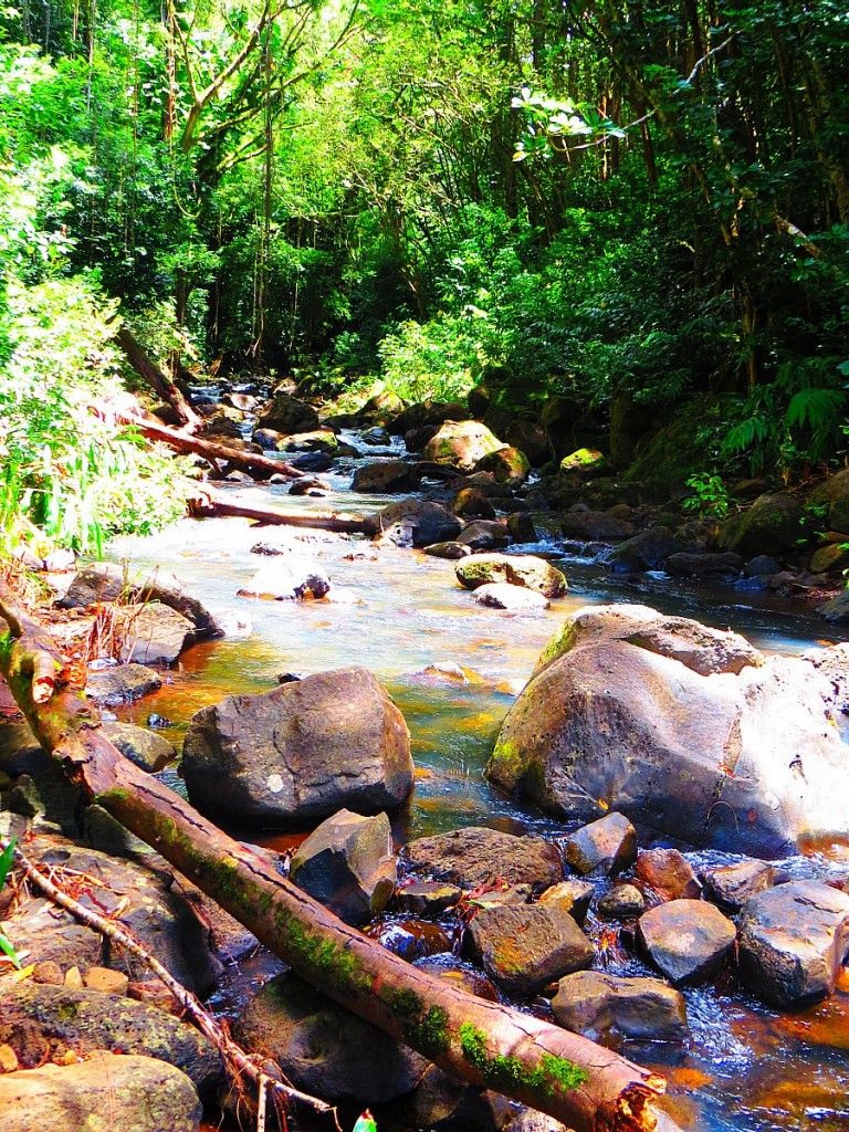  Lulumahu Falls: An Unusual Hawaii Hike