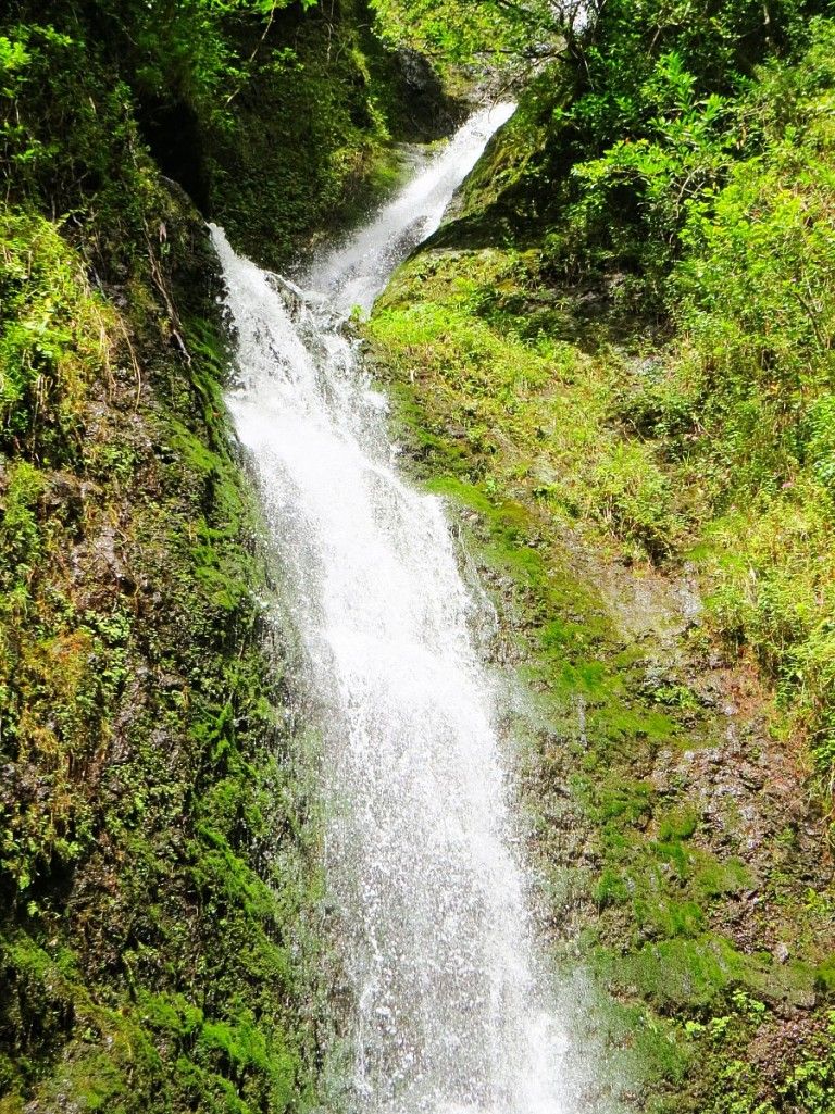 Lulumahu Falls: An Unusual Hawaii Hike
