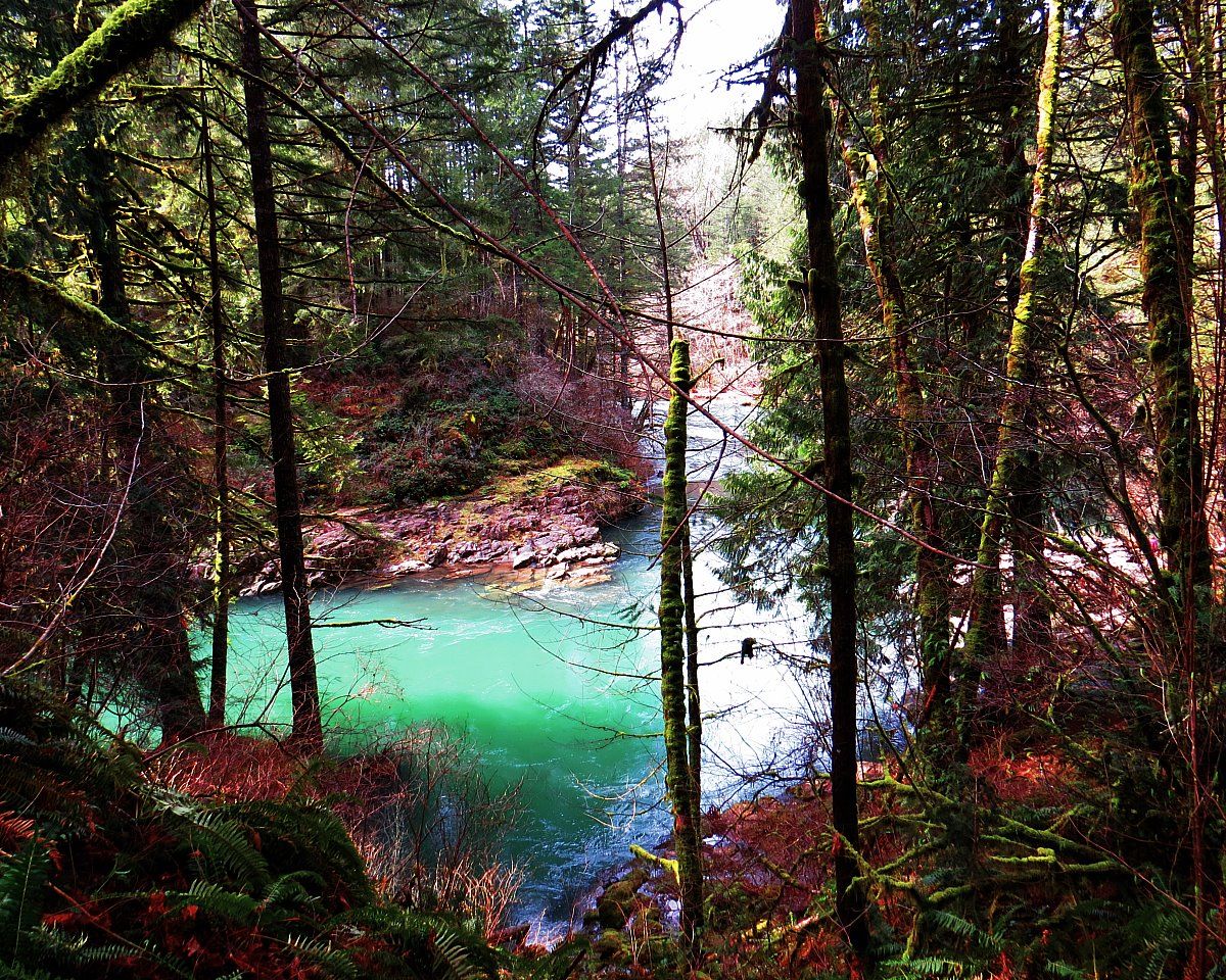 Washington Hikes: The Stunning Moulton Falls Trail