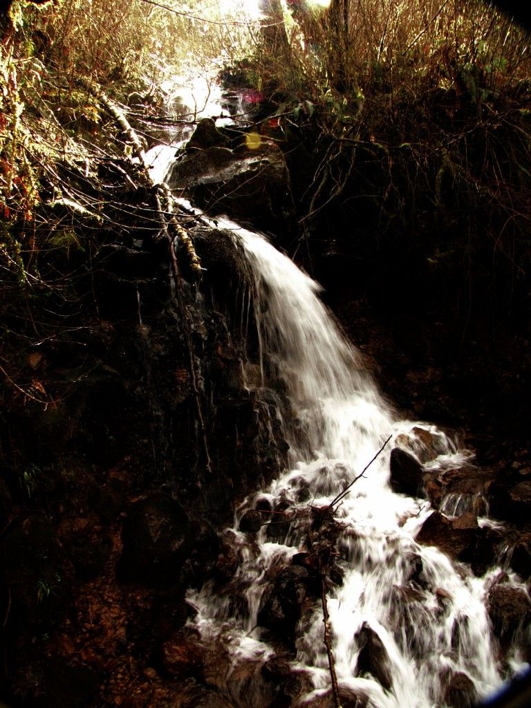 Washington Hikes: The Stunning Moulton Falls Trail