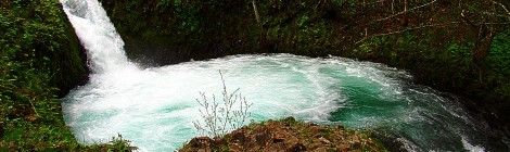 Washington Hikes: Buck Creek Falls