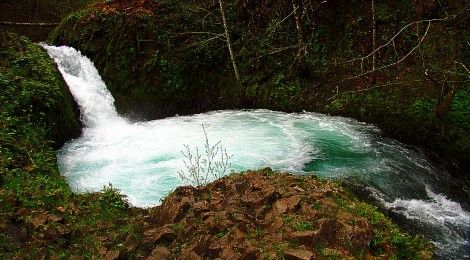 Washington Hikes: Buck Creek Falls