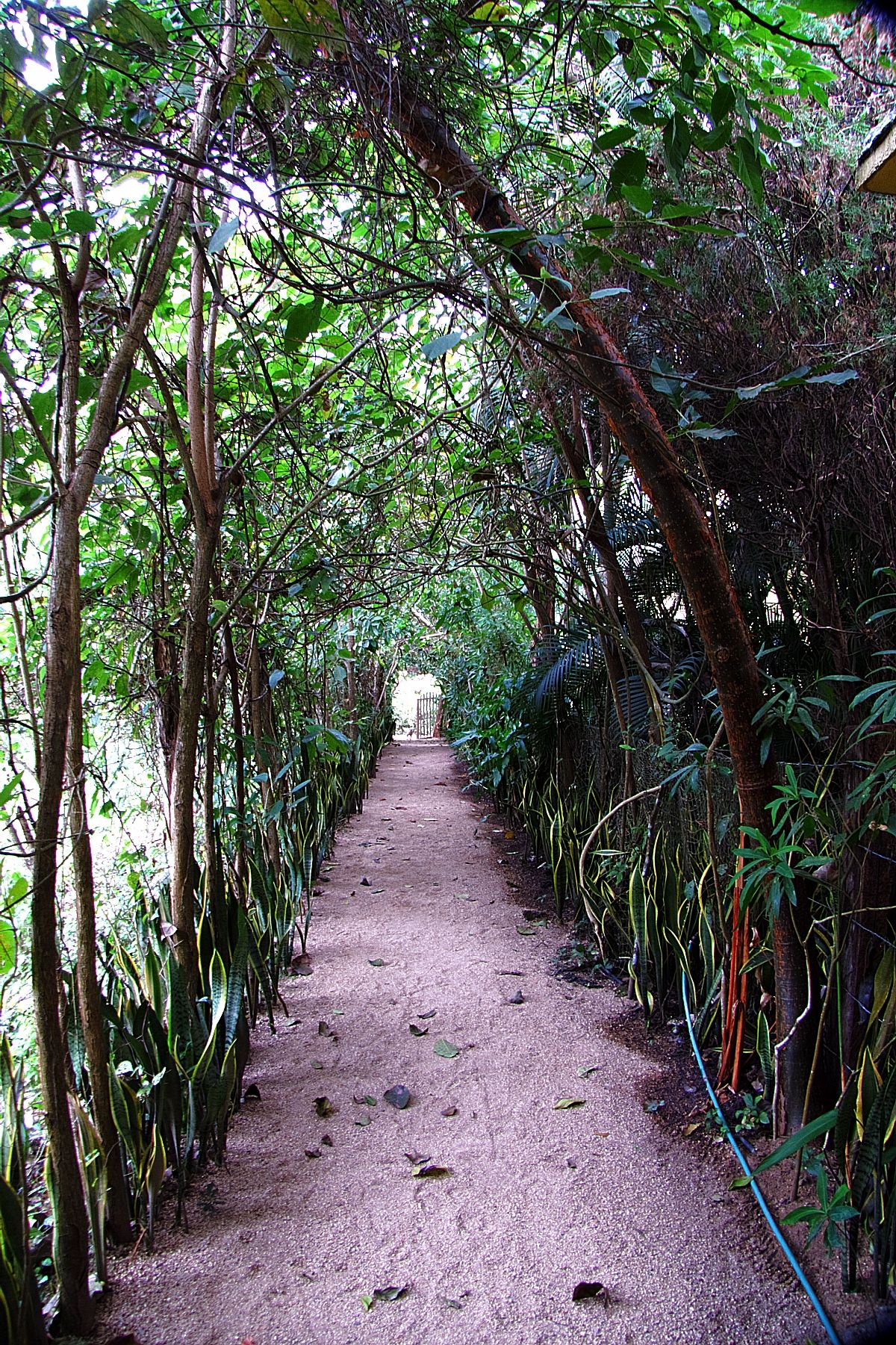 Vereda: A Jungle Oasis In Yelapa, Mexico