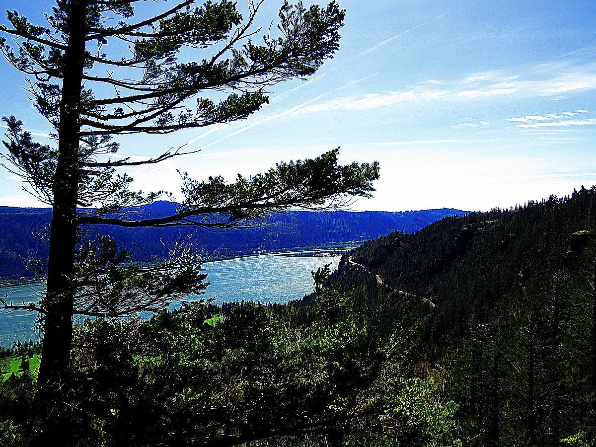 Cape Horn: The Pacific NW Hike That Will Leave You Smitten