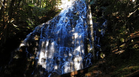 A Northwest Forest Pass or other valid parking pass is required to park at the Ramona Falls Trailhead