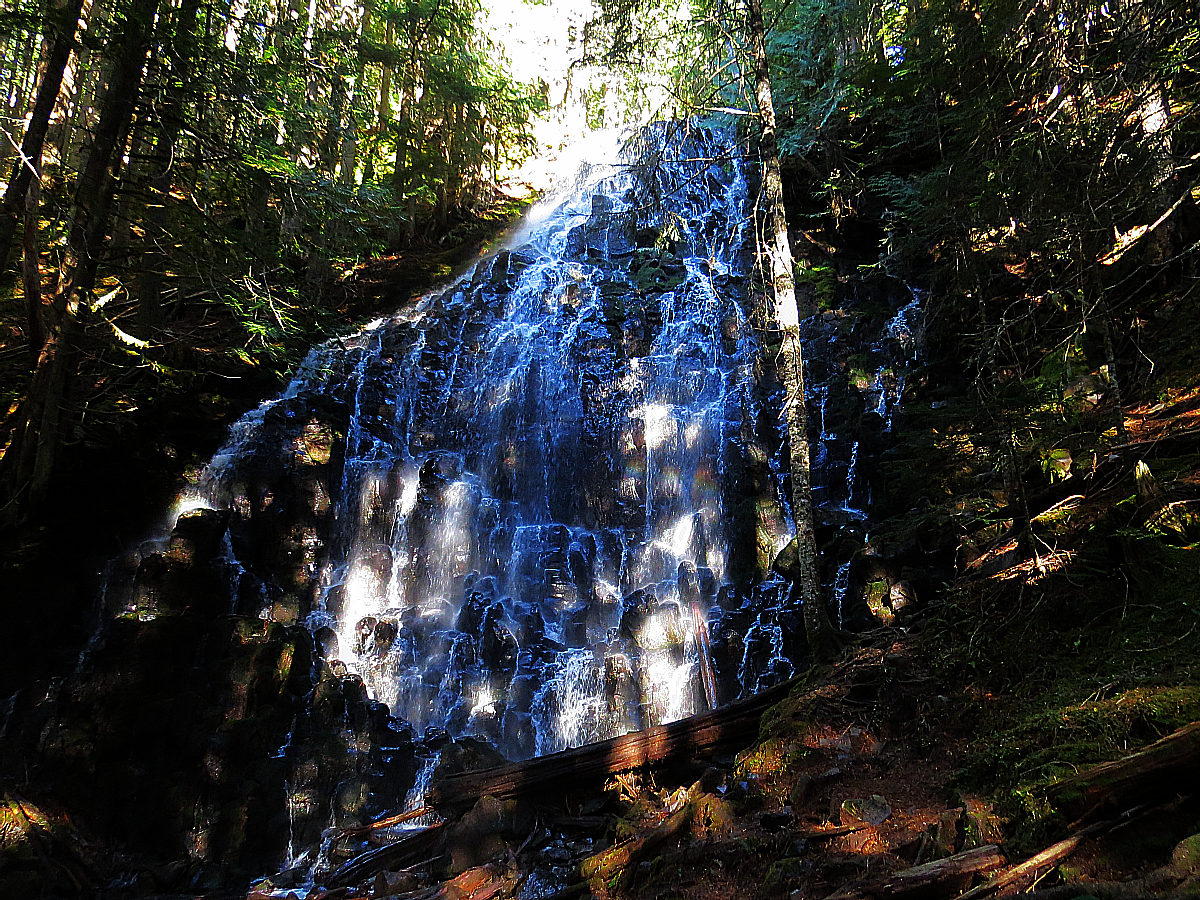 A Northwest Forest Pass or other valid parking pass is required to park at the Ramona Falls Trailhead