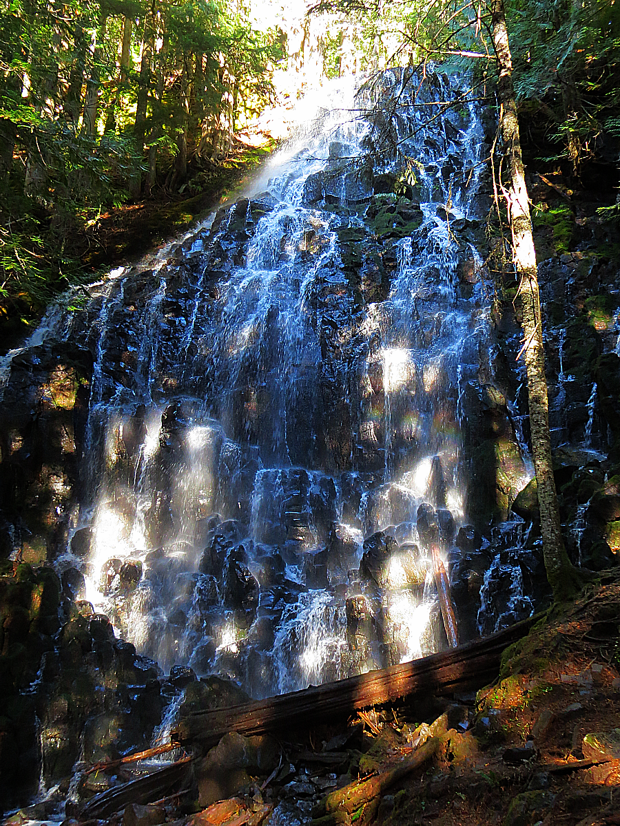Ramona Falls: The Most Breathtaking Waterfall In Oregon