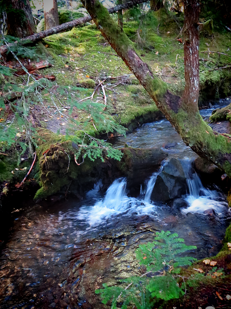 Ramona Falls: The Most Breathtaking Waterfall In Oregon - This Way To ...