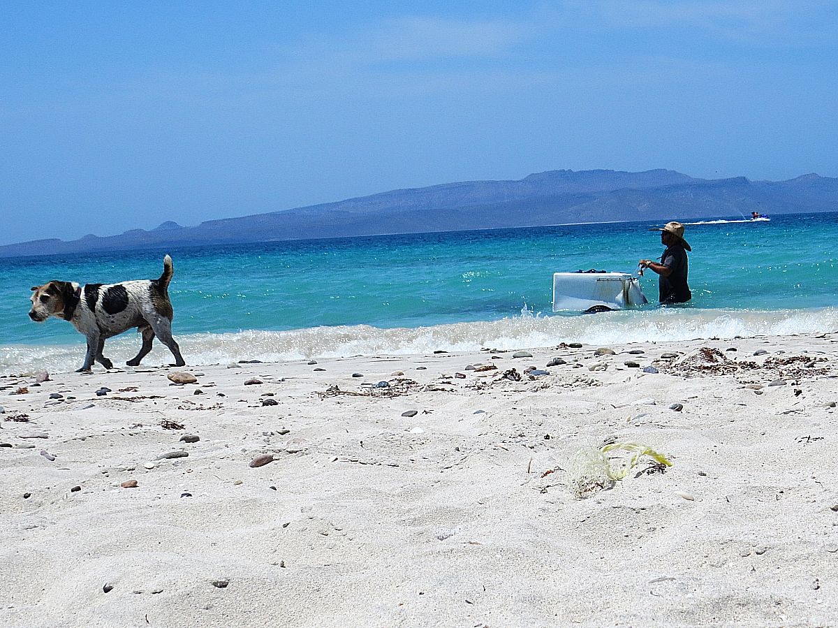 The Finest Beaches Of La Paz, Mexico