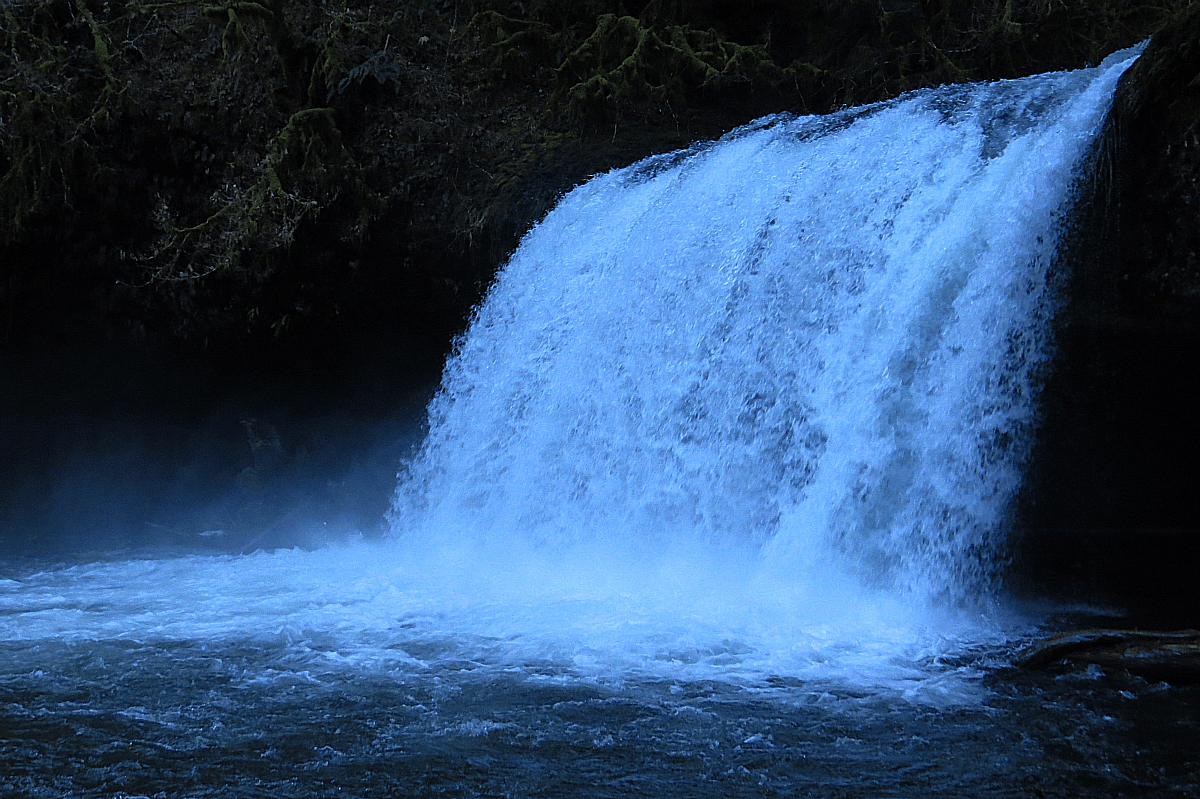 Oregon Waterfalls: Butte Creek Falls
