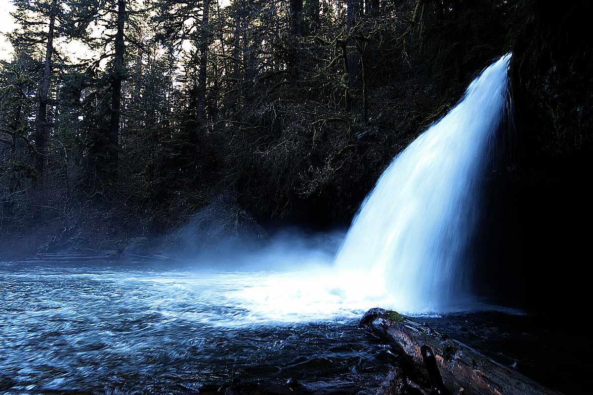 Oregon Waterfalls: Butte Creek Falls