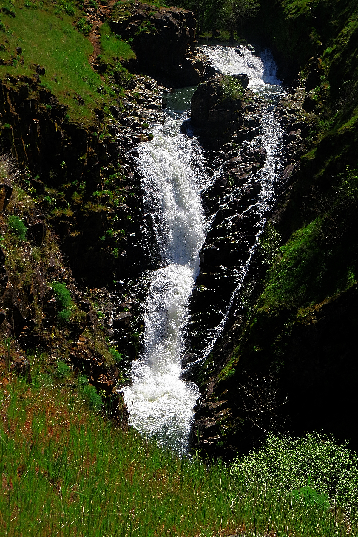 Oregon Waterfall Hikes: Mosier Creek Falls and Mosier Plateau