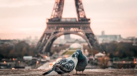 The Best Places To Take Pictures In Paris