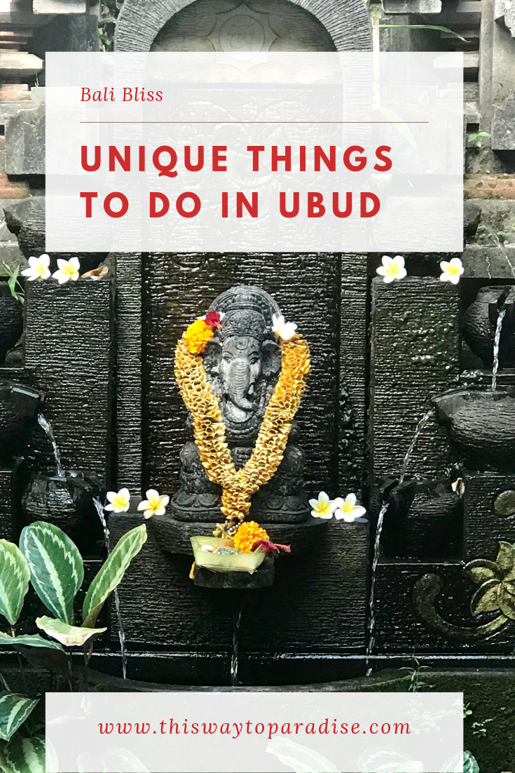 Bali Bliss: Unique Things To Do In Ubud