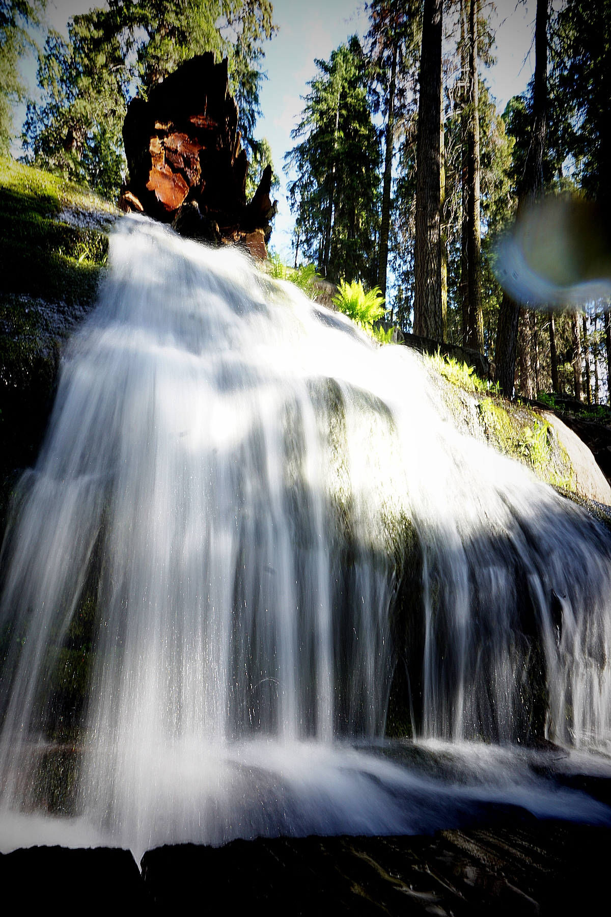 The Sequoia National Park & King's Canyon Travel Guide