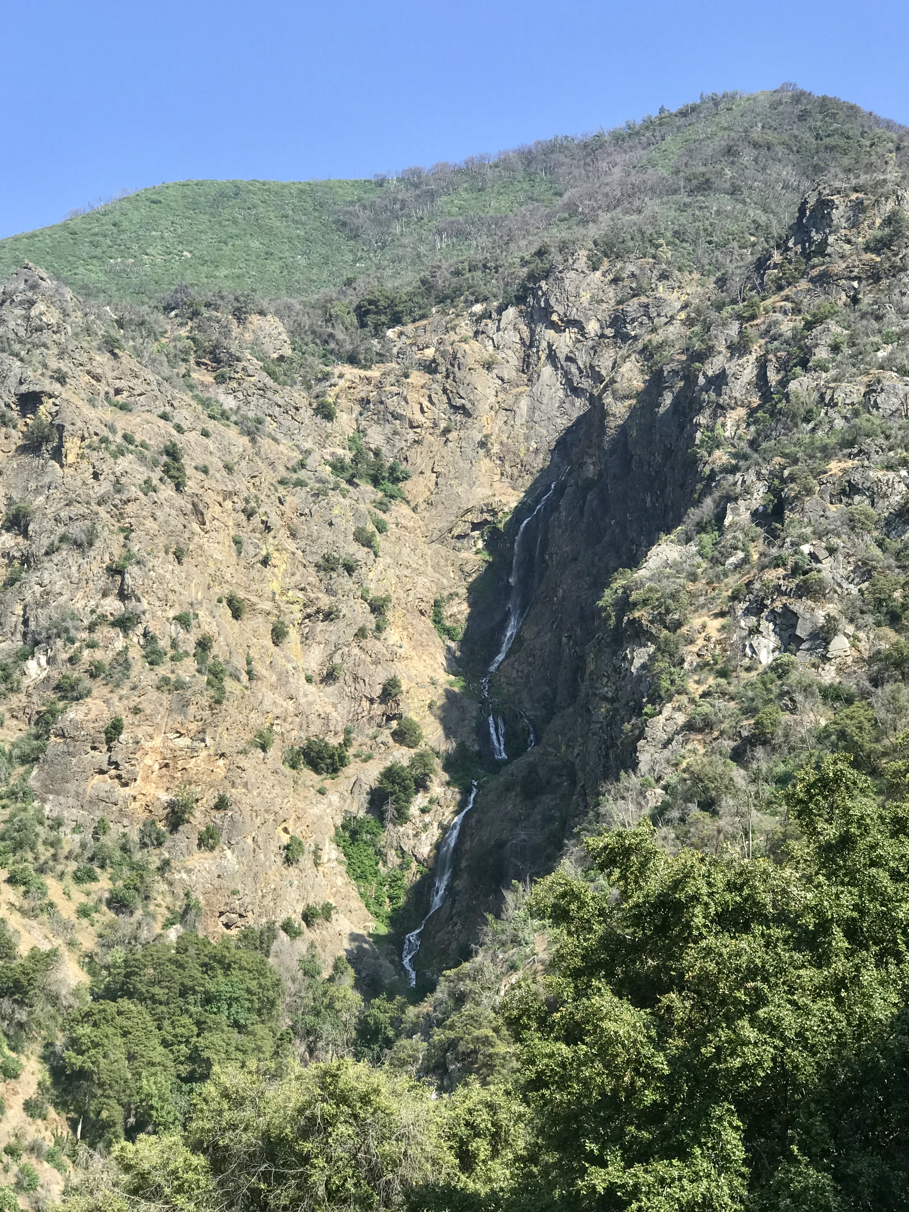 The Sequoia National Park & King's Canyon Travel Guide