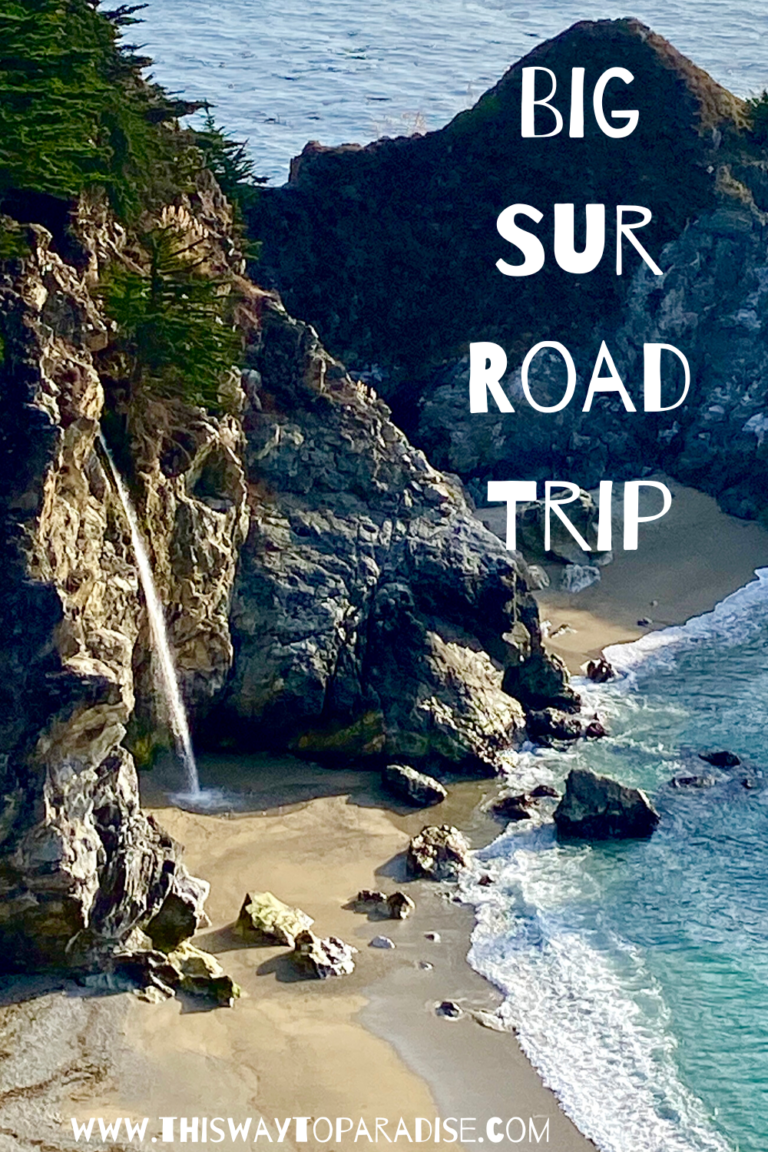 All The Places You Need To Stop On A Big Sur Road Trip - This Way To ...