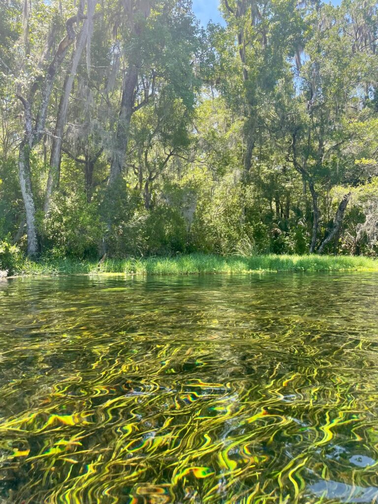 Exploring Florida Springs: Nature's Liquid Jewels - This Way To 