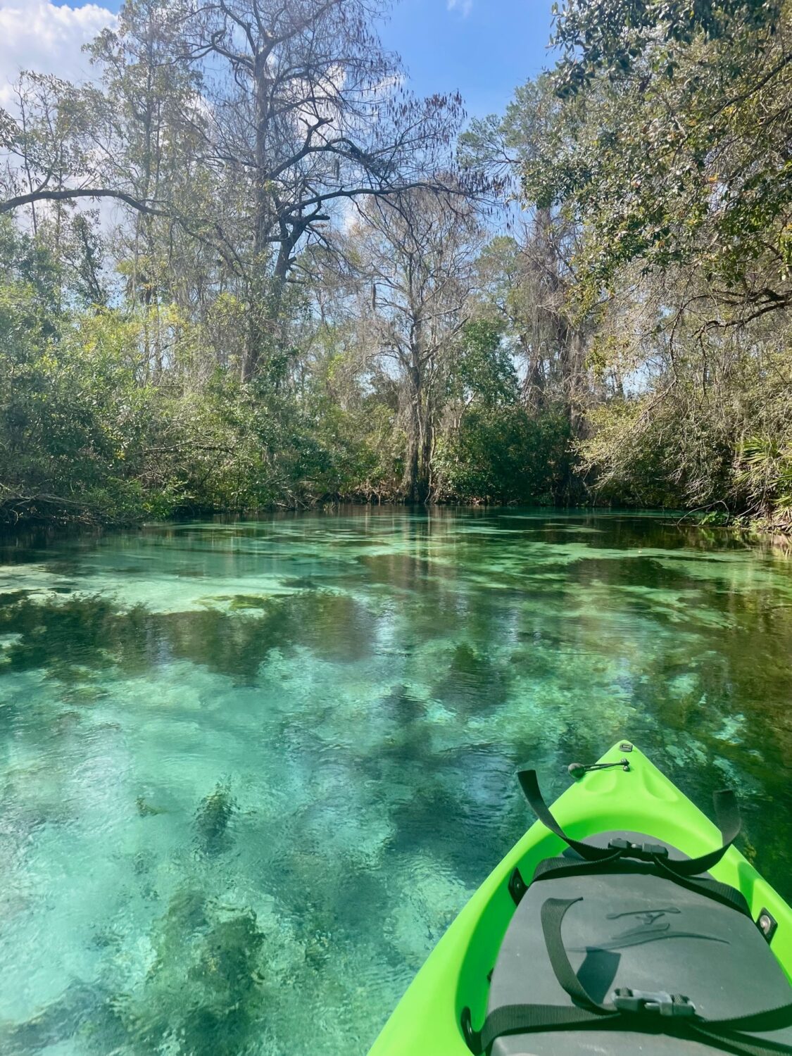 Exploring Florida Springs: Nature's Liquid Jewels - This Way To 