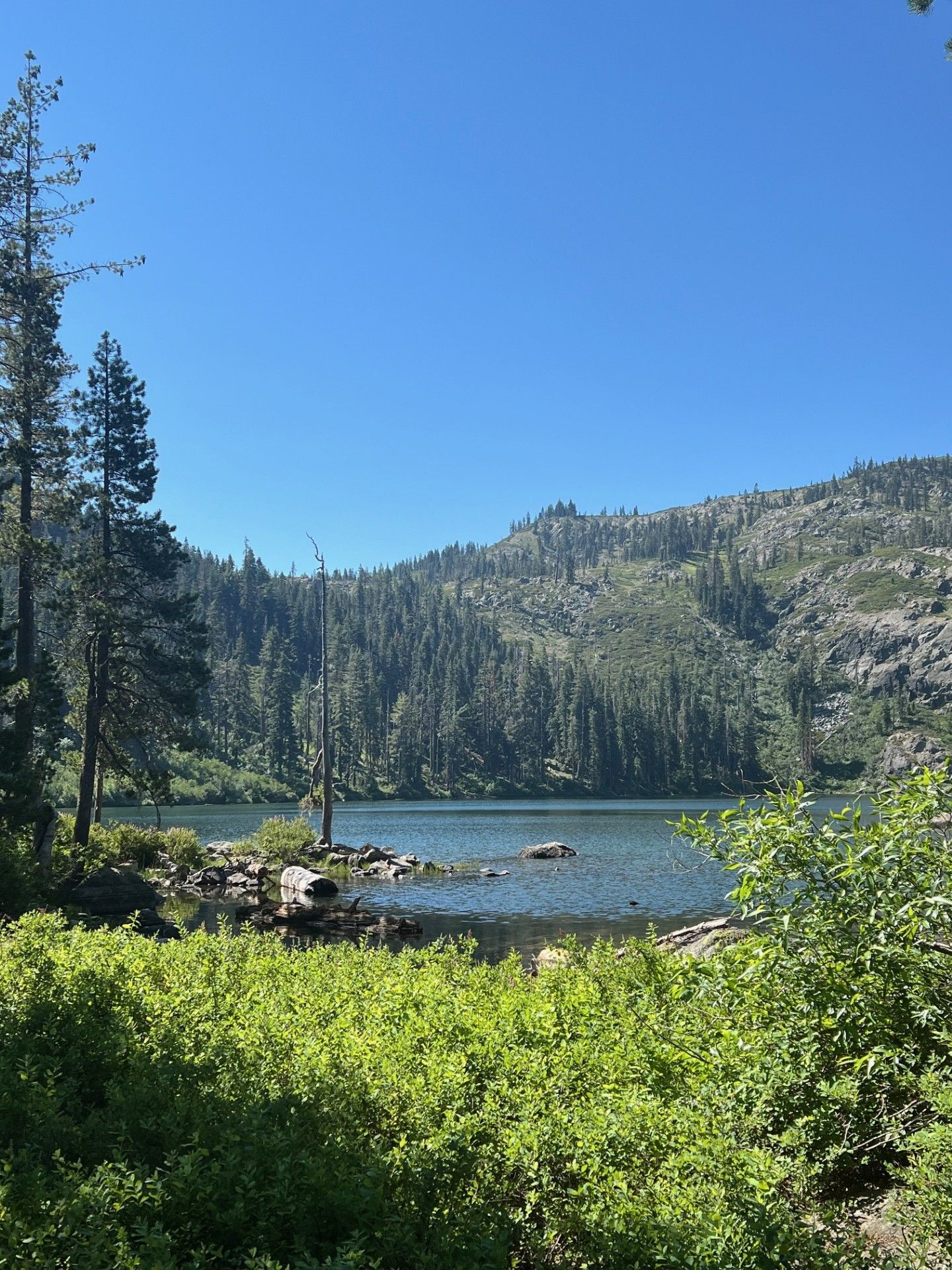 Spiritual experiences at Mt. Shasta