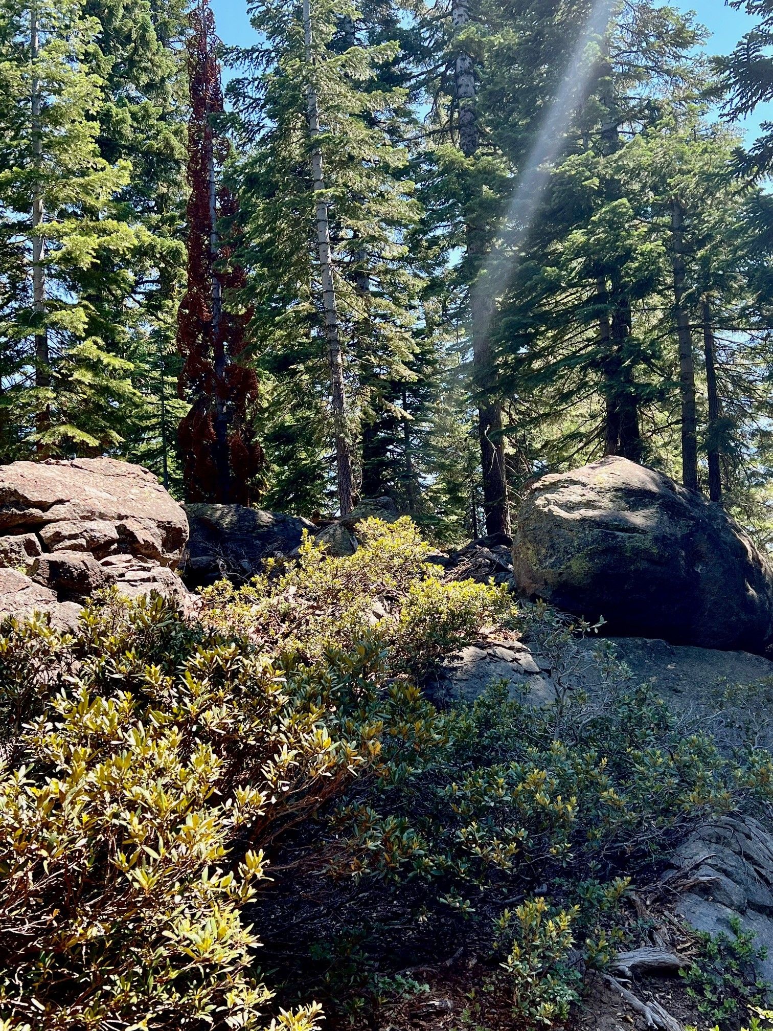 Spiritual experiences at Mt Shasta