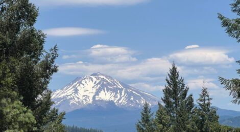 Mt Shasta