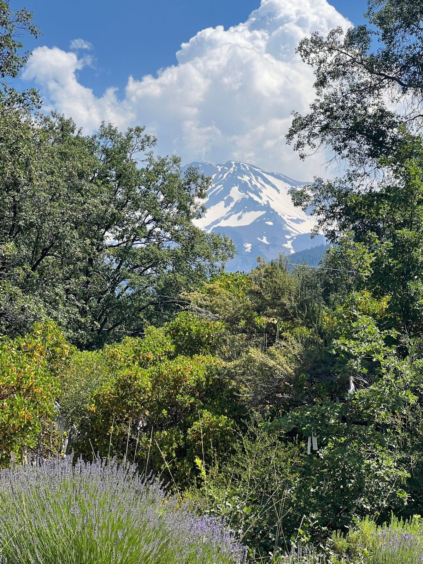 Spiritual Experiences of Mt Shasta