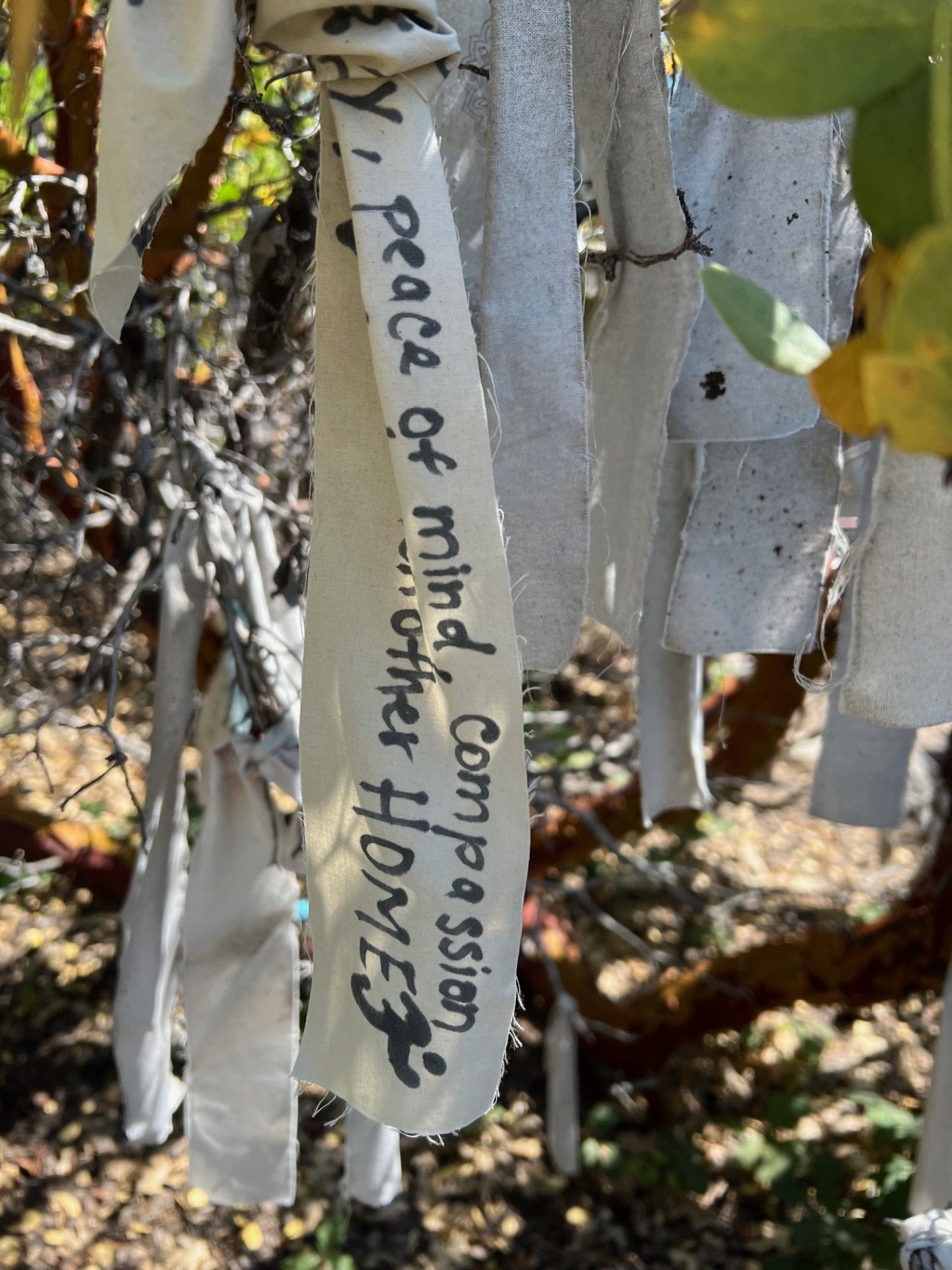 Gateway Peace Garden, Mt Shasta