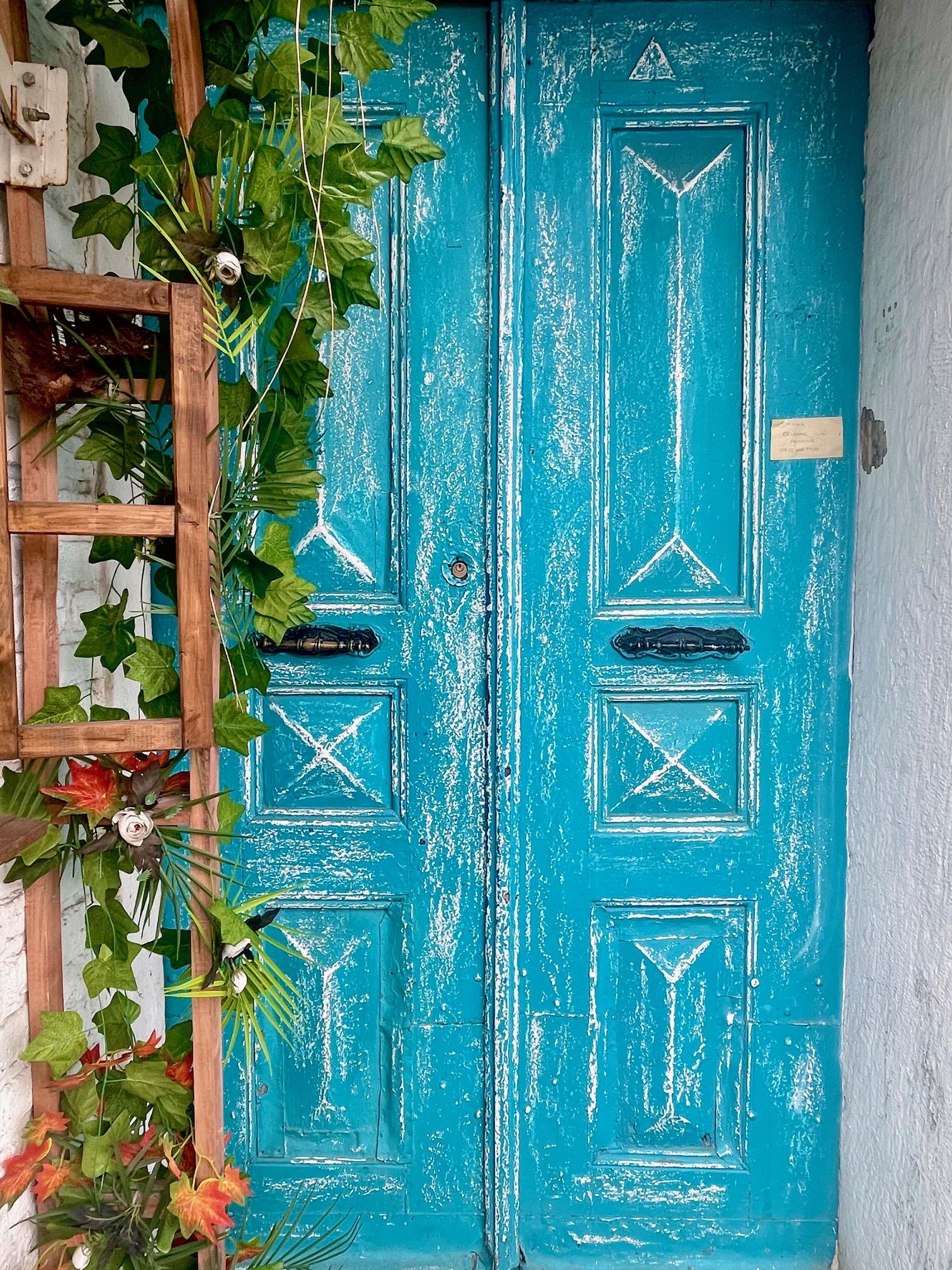 Balat doors