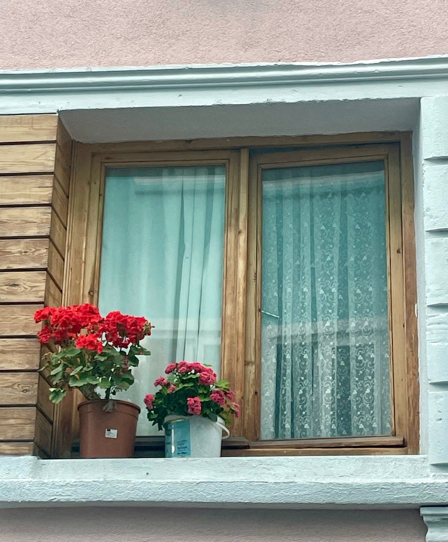 Geraniums of Balat