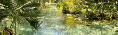 Beyond the Rollercoasters: How to Have A Relaxing Break in Orlando