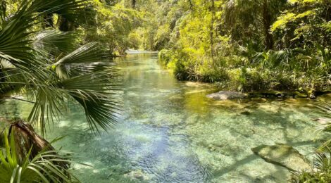 Beyond the Rollercoasters: How to Have A Relaxing Break in Orlando