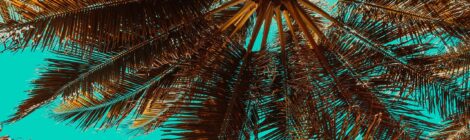 Paradise Found: Crafting a Stress-Free Family Cruise Itinerary for Your First Tropical Voyage