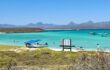 From Dolphins To Fish Tacos: The Best Things To Do In Loreto